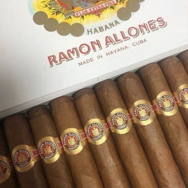 Ramon Allones Terra Magica Box of 10