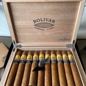 Bolivar belicosos