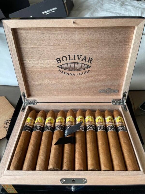 Bolivar belicosos