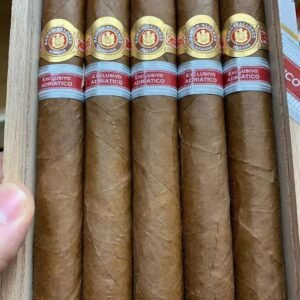 Ramon Allones Terra Magica