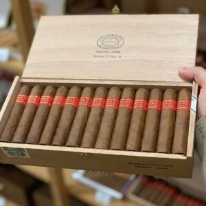 Partagas Serie D No. 5